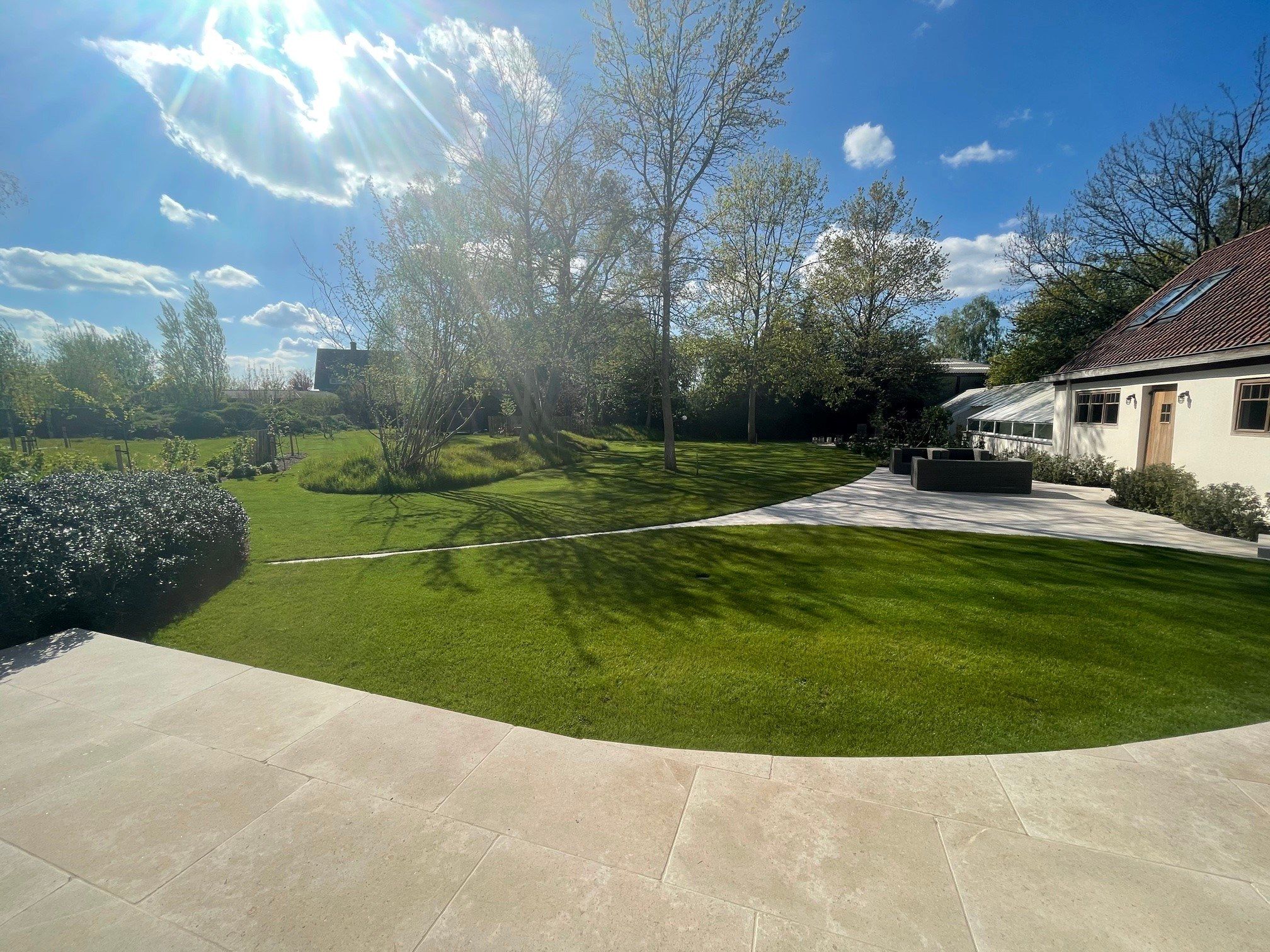 Moderne tuin met organische vormen